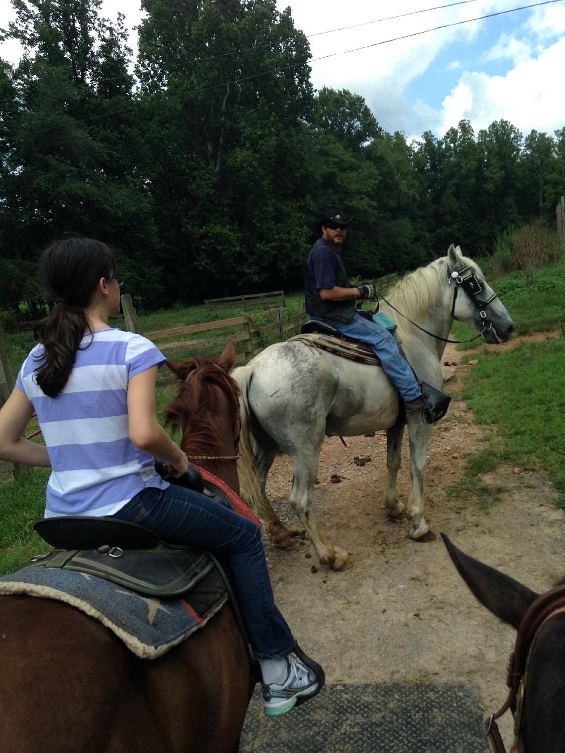 a group of people riding on the back of a horse a group of people riding on the back of a horse