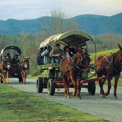 a man riding a horse drawn carriage