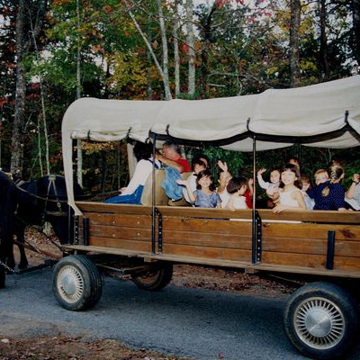 a close up of a horse drawn carriage in front of a truck