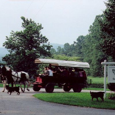 a person riding a horse on the side of a road