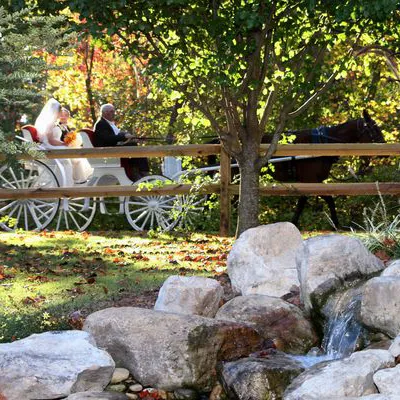 a person sitting on a rock