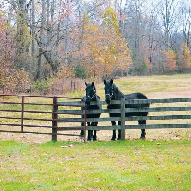 a person sitting on a bench in a park