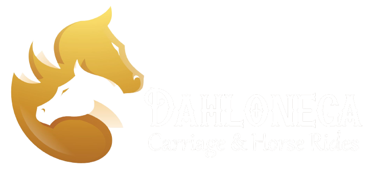Dahlonega Carriage and Horse Rides logo