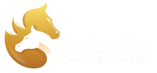 Dahlonega Carriage and Horse Rides