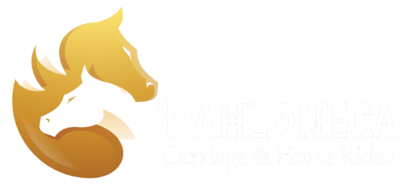 Dahlonega Carriage and Horse Rides
