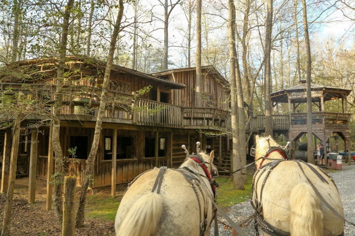 a close up of a horse drawn carriage